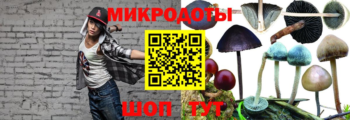 Псилоцибиновые грибы Psilocybine cubensis  Вход с VPN  Галлюциногенные грибы MAGIC MUSHROOMS  Алапаевск 
