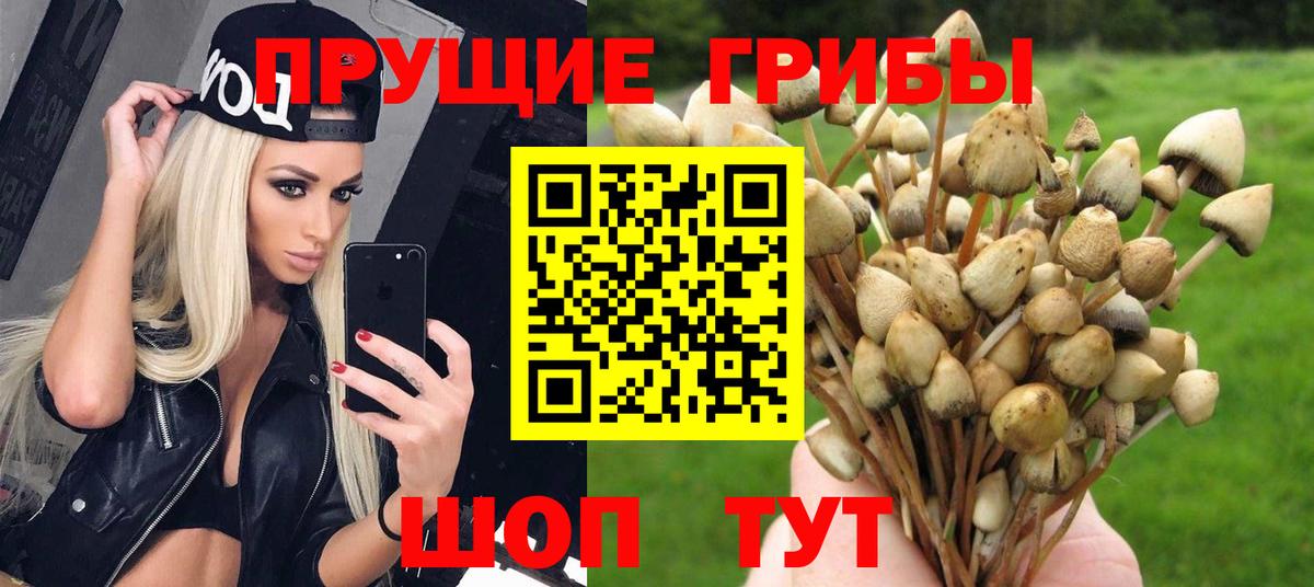 Псилоцибиновые грибы мухоморы Алапаевск